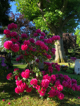 Friedhof Loschwitz, Loschwitzer Friedhof, Künstlerfriedhof am Elbhang in Dresden