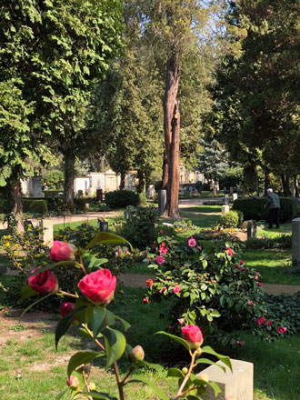 Friedhof Loschwitz, Loschwitzer Friedhof, Künstlerfriedhof am Elbhang in Dresden